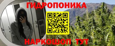 мескалин Гатчина