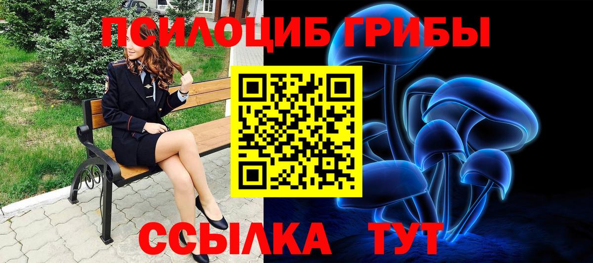 Псилоцибиновые грибы GOLDEN TEACHER Муром
