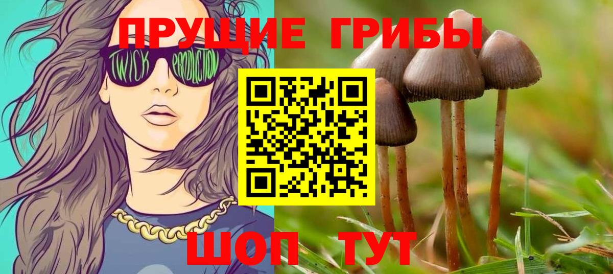 Героин Муром
