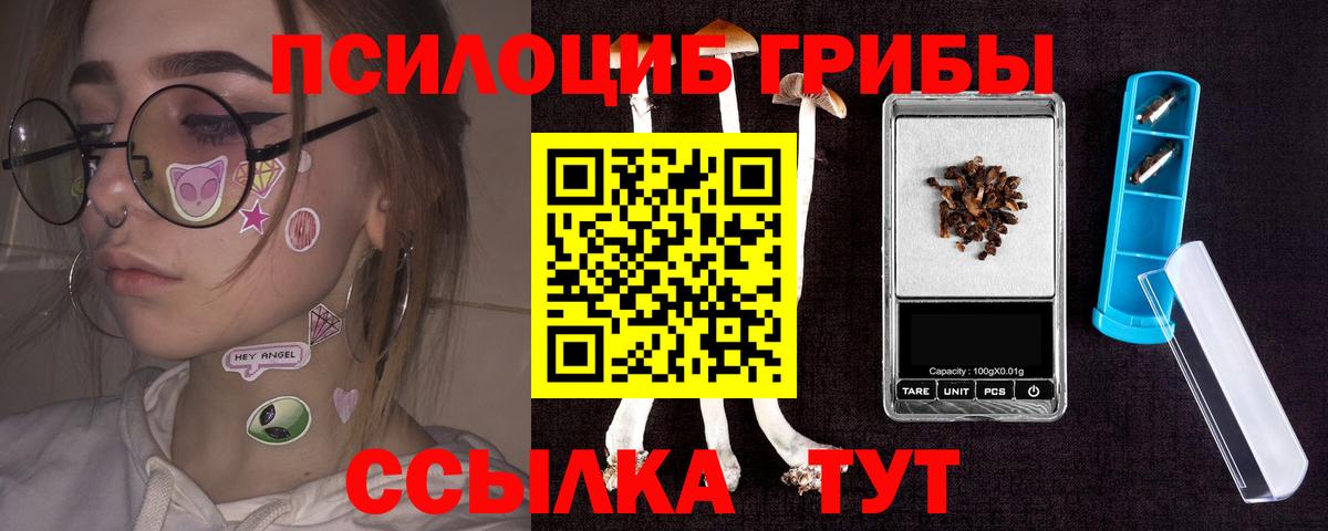Муром  купить наркоту  Вход с VPN  Псилоцибиновые грибы мицелий 